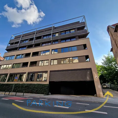 Velvet - Jeżyce Poznań